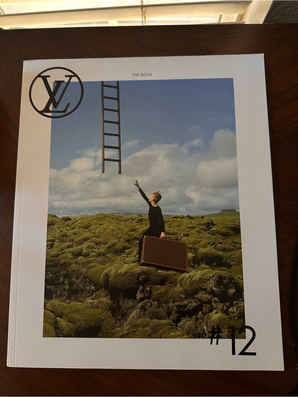 Louis Vuitton White, Blue & Green Art Book Cover